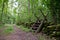 Stile at a countryside road