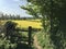 Stile with rapeseed beyond.