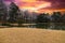 A still green lake in a Japanese garden surrounded by yellow winter grass and bare winter and lush green trees with powerful red