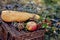 Still life of autumn picnic