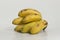 Still life of bananas