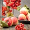 Still life berries of a viburnum and garden seasonal apples in p