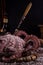 Still life with big octopus with curved tentacles, old vintage dish and bottle on dark background. Preparation delicious dinner