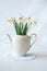 Still life with a blooming bouquet of white daffodils