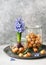 Still life with blue grape hyacinthine flowers and onion sets in the glass jars on a vintage metal tray.