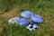 Still life of blue Hand Painted Stones in the Grass, Close-up