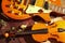 Still life with a blues vintage electric guitar, rare violin, dried flowers and old sheet music closeup