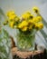 Still life bouquet of blooming dandelions in a glass