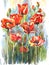 Still life bouquet of red poppies .Watercolor illustration flowers