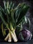 Still life of bunch of leeks and red cabbage also known as Blaukraut staying on dark grey background. Vertical side view