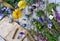 Still life with calendula flowers, herbs, reiki crystals on witch table