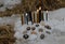 Still life with candles and runes in snow