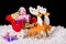 Still life of Christmas decoration reindeer and Santa sleigh wit