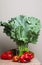 Still life composed of a typical vegetable from Galicia Spain.