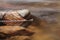 Still life dead leave floating in river water with rocks