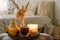 Still life details in home interior of living room. Pumpkin and cup of tea with candles on a serving tray.