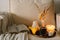 Still life details in home interior of living room. Pumpkin and cup of tea with candles on a serving tray. Rest and Reading