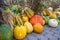 Still life different variation of pumpkins and ornamental gourds lying on the ground at a farm during harvest season for sale