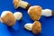 Still life display of four mushrooms by apples