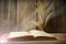 Still life flower foxtail weed and old book in morning light on wood background