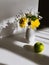 still-life flowers nature shadows White Green yellow