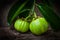 Still life with fresh garcinia cambogia on wooden background (Th
