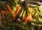 Still life of fresh vegetables for food, such as quelites, carrots, cucumbers, and serrano green chiles