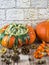 Still life with fruits of autumn fall thanksgiving