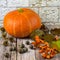 Still life with fruits of autumn fall thanksgiving