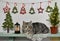 Still life with funny kitty, lantern, decorations, garlans and conifer in vintage style