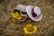 Still life of hats and baskets with sunflowers