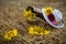 Still life of hats and baskets with sunflowers