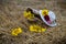 Still life of hats and baskets with sunflowers