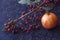 Still life - ikebana of branch with dried berries and Garnet. Textile background