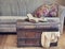 Still life interior details, book and cup of tea on old trunk