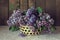 Still life, lilac in a basket.