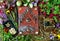 Still life with magical book, healing crystals, runes and herbs on witch table