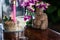 Still life with margarita cocktail, orchid flowers butning candle and hotei