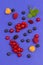 Still life of multi-colored berries on purple background. Red currants, raspberries red and yellow, blueberries, green mint