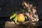 Still life of a pear with leaves on a wooden fence illuminated by a sunbeam