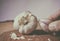 Still life photo, garlic with man hand on pine wood