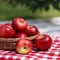 Still life picture of apples on a handkerchief on a nice summer day with a beautiful natural view. Still life photo of apples