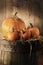 Still life with pumpkins on barrel