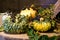 Still life of pumpkins, hops and already dried blue grapes