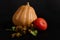 Still life pumpkins of various sizes and hop cones on black background. Craft from vegetables - a witch on a broomstick