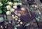 Still life with runes, witch book and white roses on planks in the garden