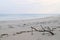 Still Life on A Sandy Seashore - Infinite Peace at Uncrowded Beach