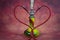 Still life shisha equipment heart shape hose