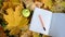 Still life on the theme of study with notebooks, a pen and an apple against the background of autumn leaves. Video