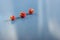 Still life of three strawberries on blue ceramic tiles with dust texture. Top view.Selective focus.